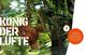 Thumbnail-13