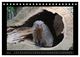 Thumbnail-10