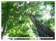 Thumbnail-8
