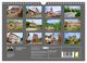 Thumbnail-10