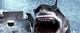 Thumbnail-11