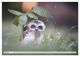 Thumbnail-11
