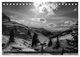 Thumbnail-14