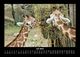 Thumbnail-11
