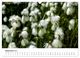Thumbnail-14