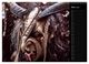 Thumbnail-8