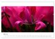 Thumbnail-10