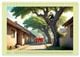 Thumbnail-8