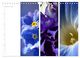 Thumbnail-12