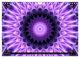 Thumbnail-10
