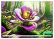 Thumbnail-11