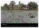 Thumbnail-10
