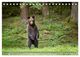 Thumbnail-10