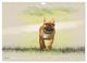 Thumbnail-9