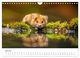 Thumbnail-12