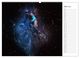 Thumbnail-8
