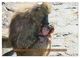 Thumbnail-14