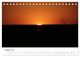 Thumbnail-13