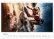 Thumbnail-9