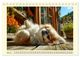 Thumbnail-8