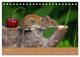 Thumbnail-8