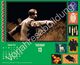 Thumbnail-11