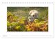 Thumbnail-10