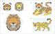 Thumbnail-2