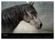 Thumbnail-12
