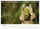 Thumbnail-11