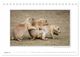 Thumbnail-10