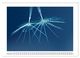Thumbnail-14