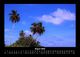 Thumbnail-12