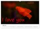 Thumbnail-10