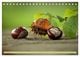 Thumbnail-14