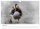 Thumbnail-13