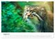 Thumbnail-9