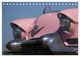 Thumbnail-9