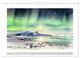 Thumbnail-11
