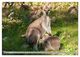 Thumbnail-8
