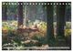 Thumbnail-10