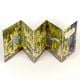 Thumbnail-2
