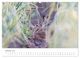 Thumbnail-11