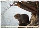 Thumbnail-14