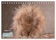 Thumbnail-10