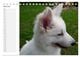 Thumbnail-11