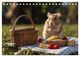 Thumbnail-10
