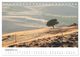 Thumbnail-11