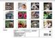 Thumbnail-10