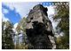 Thumbnail-10